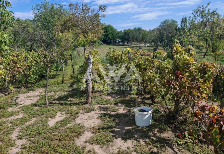 Apatin. Prizemna kuća 161m2, plac 20ar