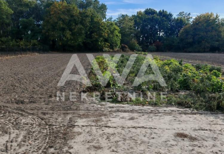 Na prodaju seosko domaćinstvo u Kupusini – 132 m², plac 2.619 m²