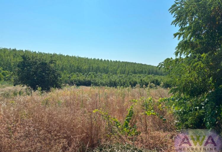 Kupusina – porodična kuća sa velikim placem od 2.089 m²