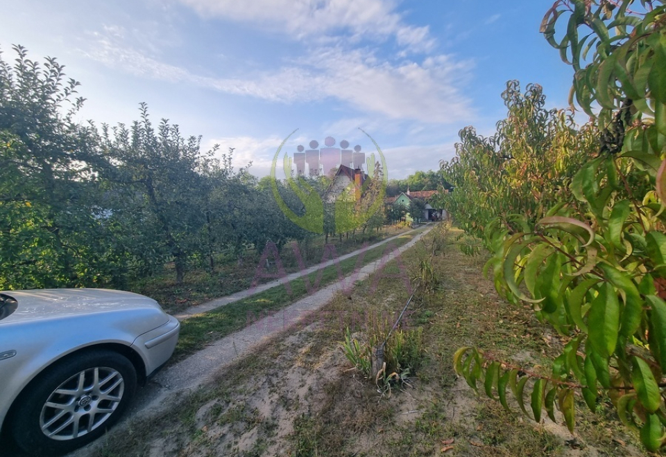 Vikendica sa voćnjakom i pomoćnim objektima