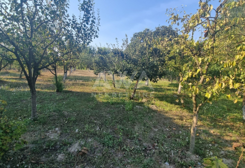 Budžak. Apatin. Opremljena vikendica 38m2, plac 21.5ar