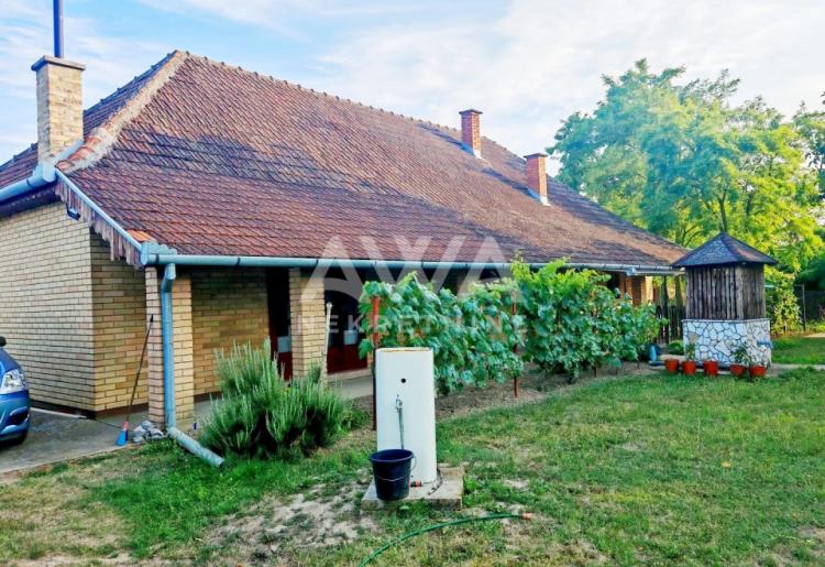 Sonta. Kuća – salaš na 47ar placa