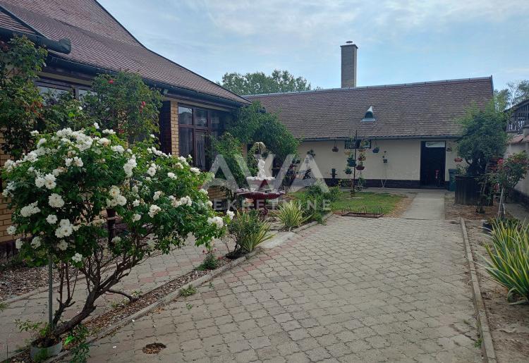 Apatin. Prizemna kuća 195m2, plac 43ar